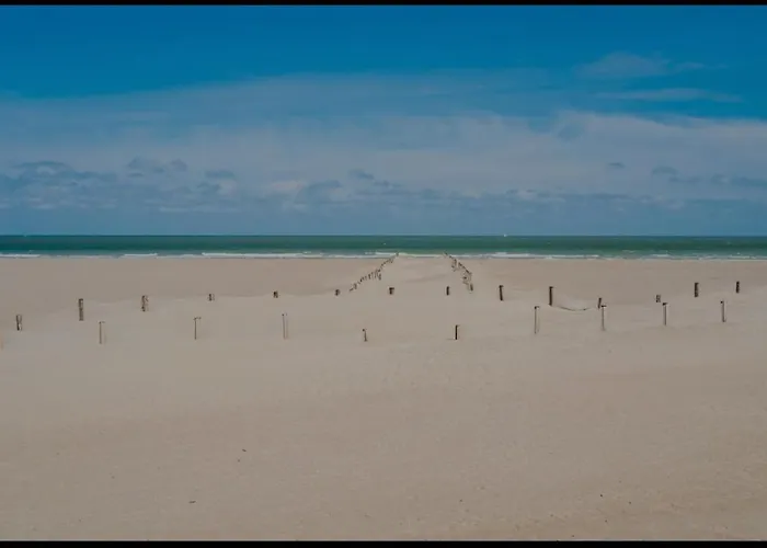 Appartement Nouveau Sur Dunkerque Le Nid Du Beffroi Hyper Centre Duinkerke