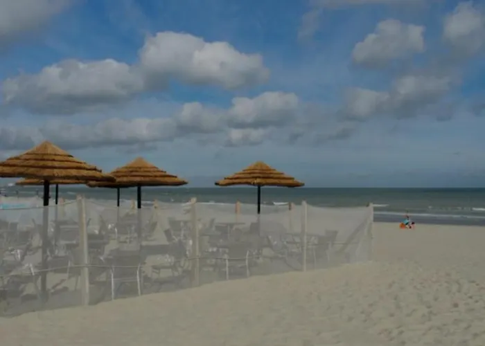 Nouveau Sur Dunkerque Le Nid Du Beffroi Hyper Centre Appartement *