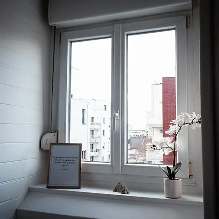 Appartement Nouveau Sur Dunkerque Le Nid Du Beffroi Hyper Centre *